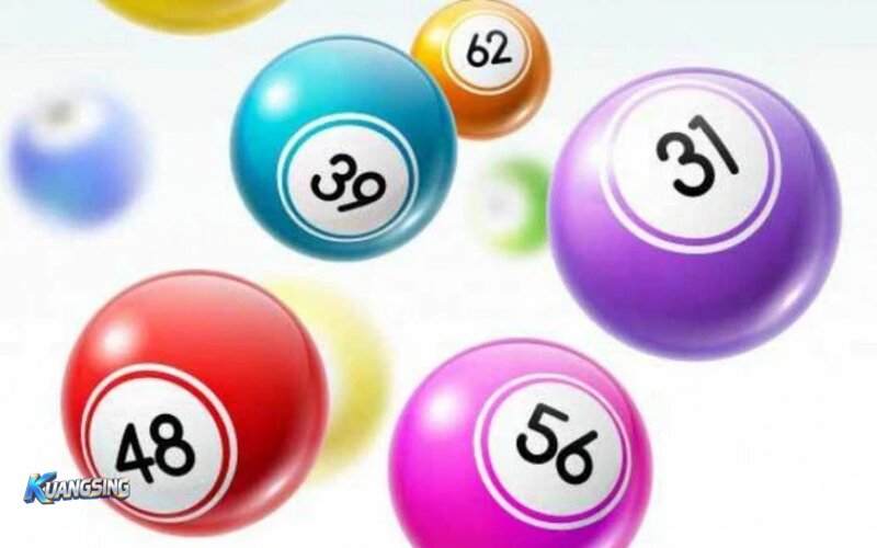 Lottery kuangsing - Essential Features of a Digital Lottery Platform
